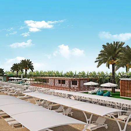 The Marilis Hill & 5* Okurcalar