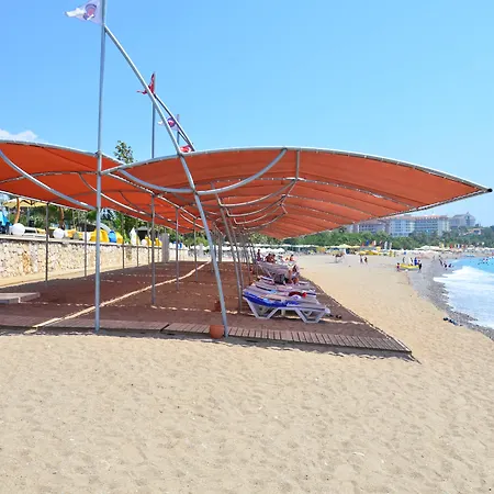 The Marilis Hill & 5* Okurcalar
